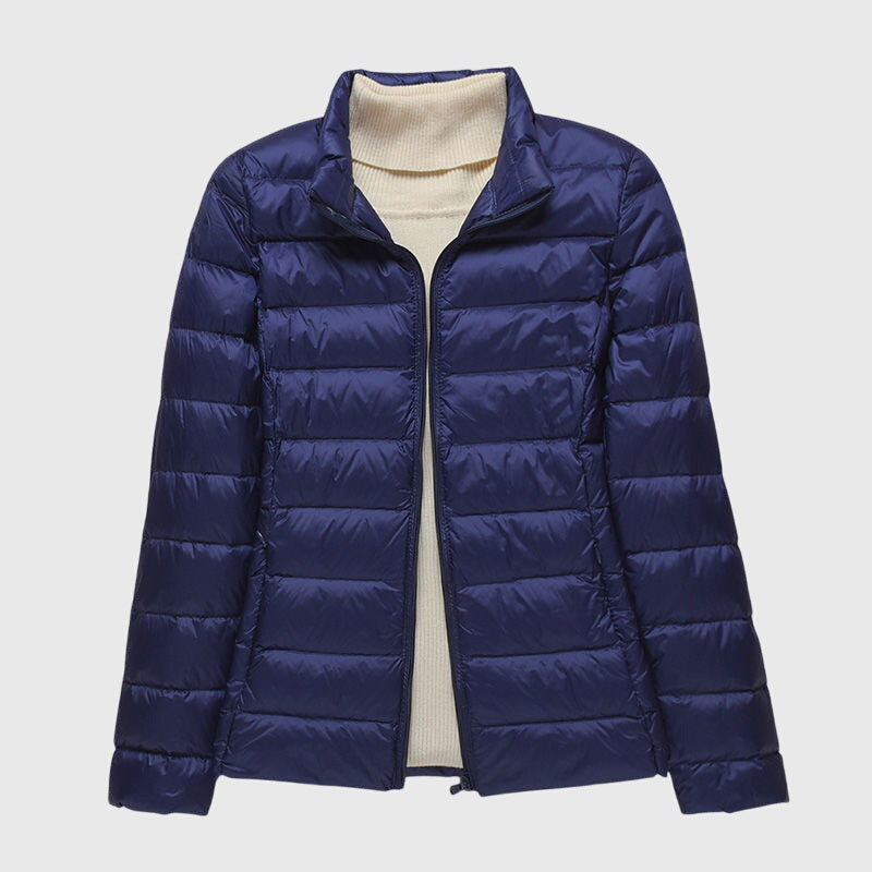 Dark blue  collar