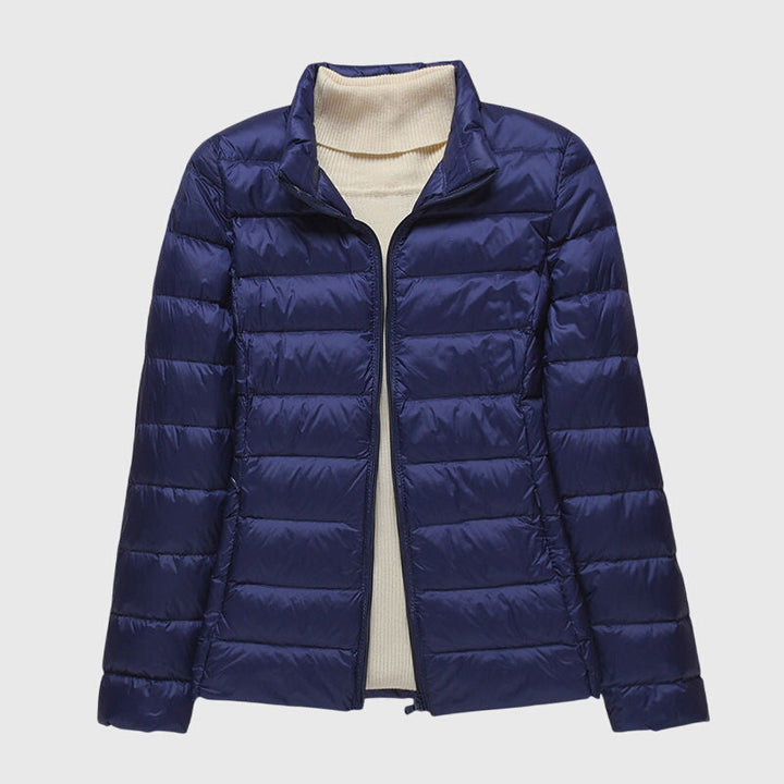 Dark blue  collar