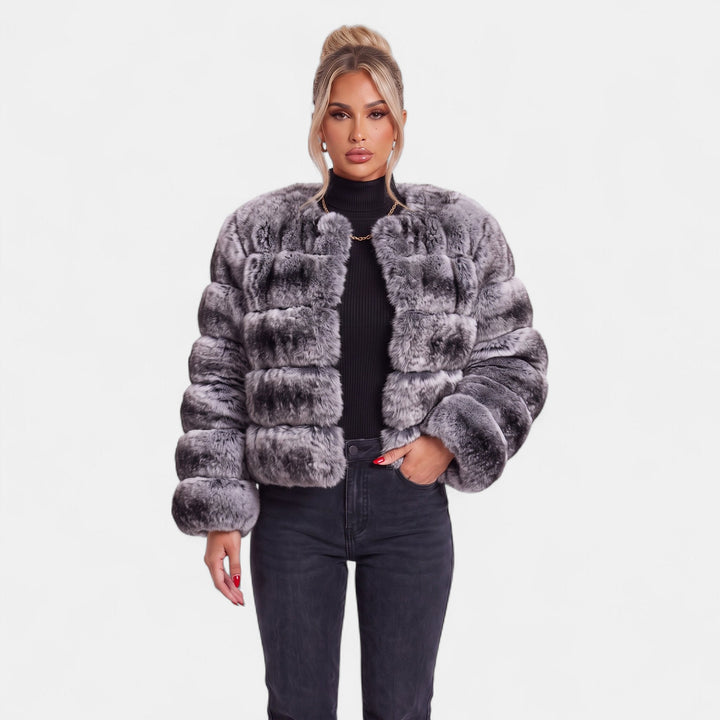 Grey Chinchilla