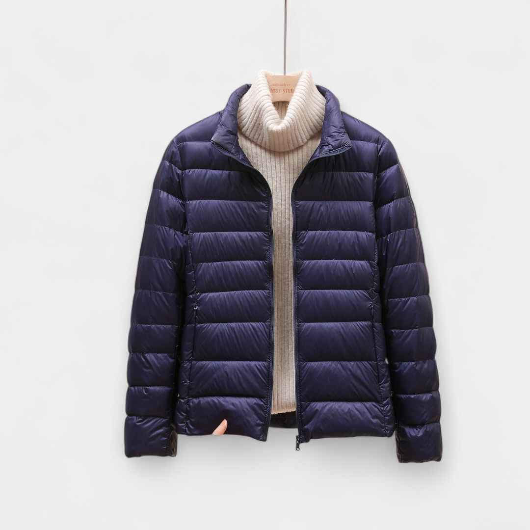 Navy blue Collar