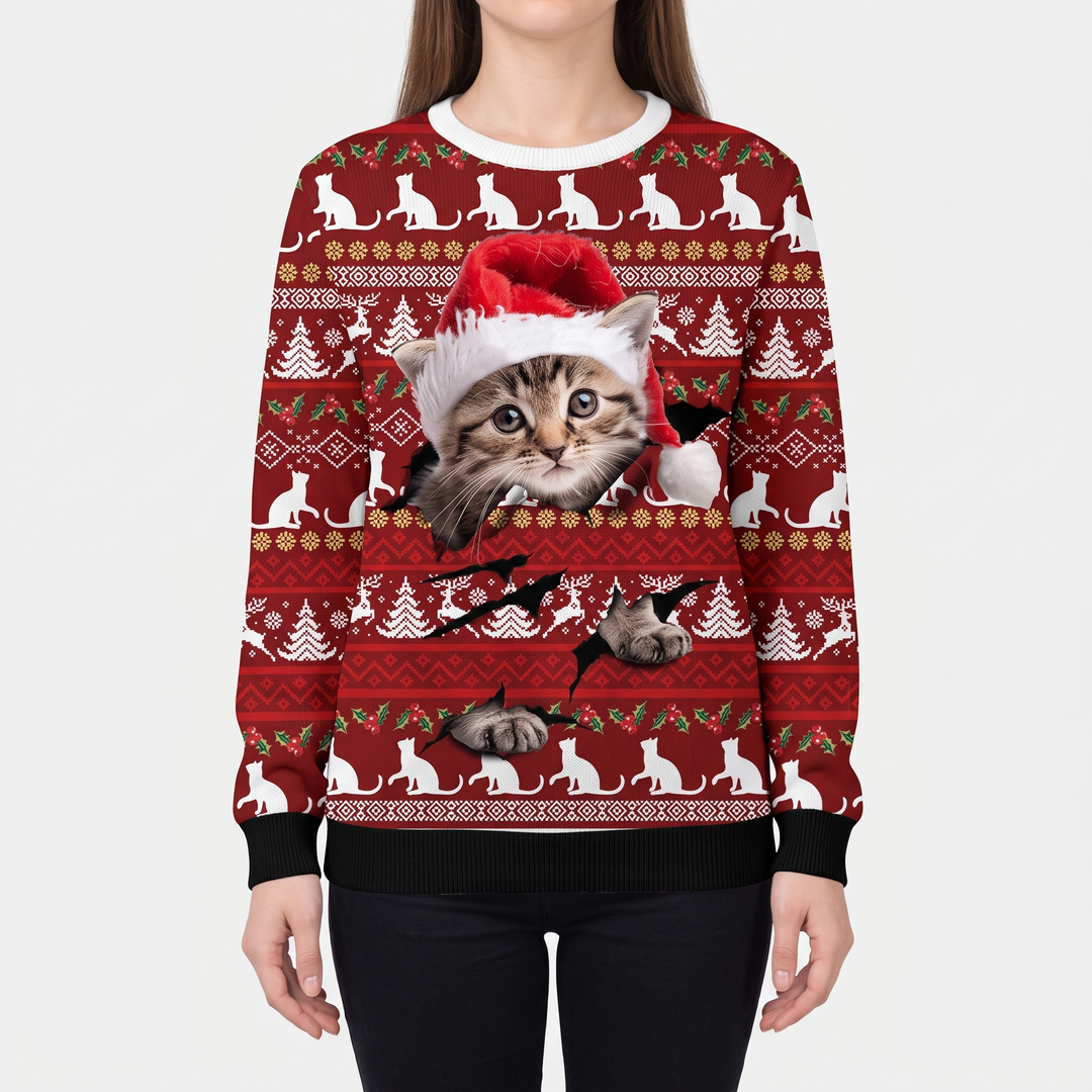 Burgundy Fair Isle Cat
