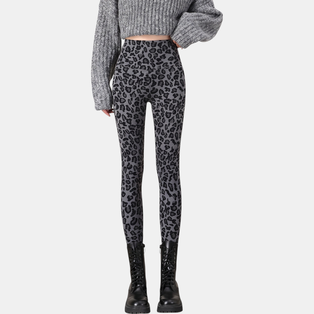 Grey Leopard